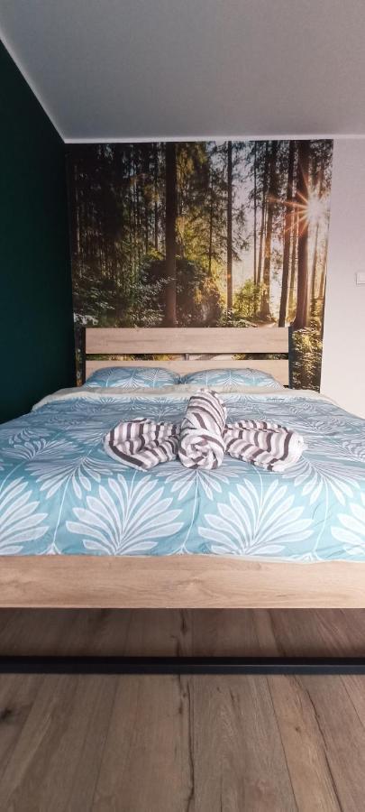 Apartment Diamond Na Sportowej Tylicz